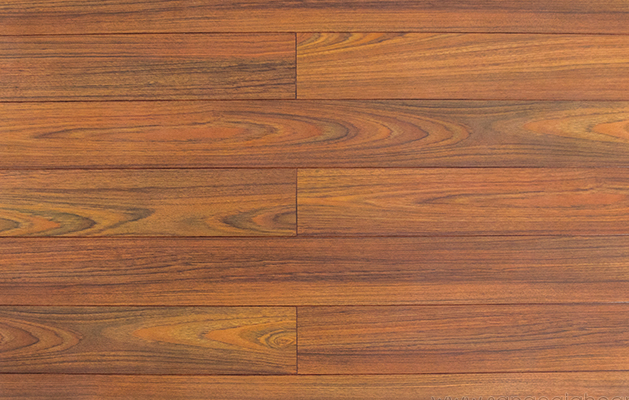 Sàn gỗ Robina T12-12 mm ( bản nhỏ)