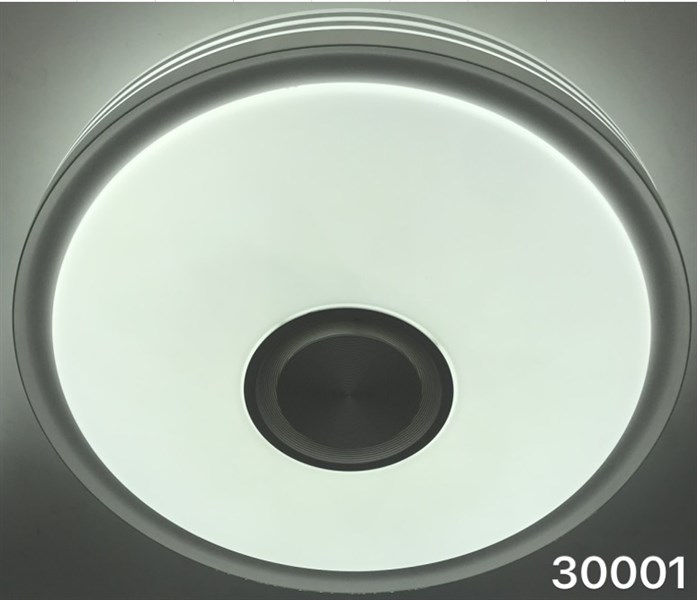 Đèn Ốp Nhạc Có Khiển H3001-500