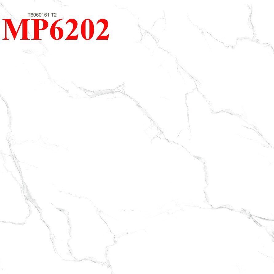 GẠCH LÁT NỀN DSP-MP6202